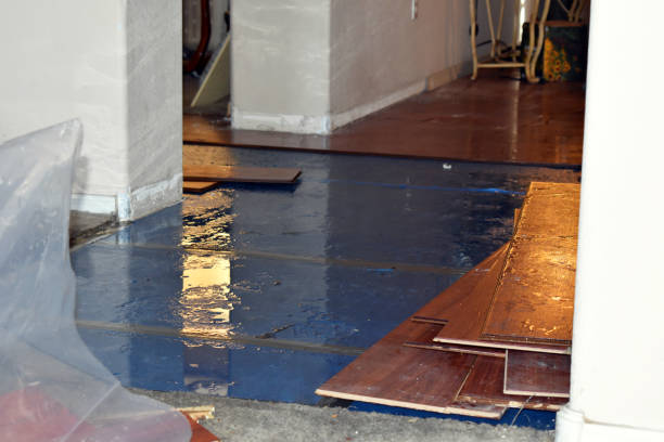 Professional Burst Pipe Cleanup technician working in Miller Place, NY